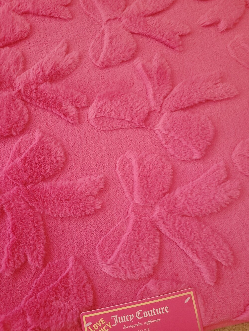 Juicy Couture Rug ๐ - Picture 2 of 4